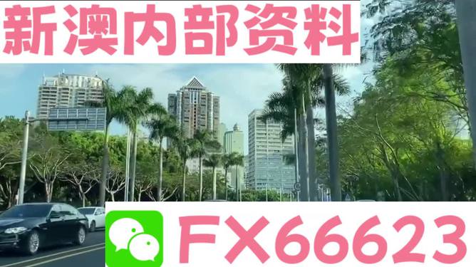 新澳2025年精準資料概覽，新澳2025年精準資料全景概覽