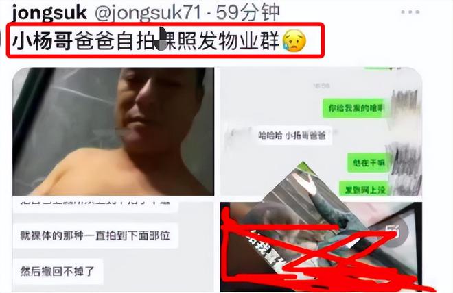 關于小楊爸私密視頻的探討與警示，小楊爸私密視頻，深度探討與警示反思