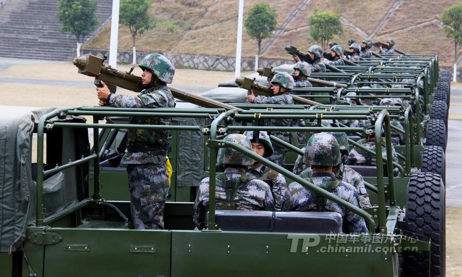 防空兵所屬兵種類別及其重要角色，防空兵所屬兵種類別與重要角色解析