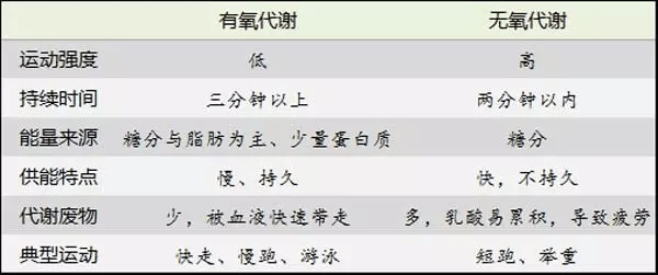 無氧與有氧的區別，運動方式的差異及其影響，無氧與有氧運動的差異，運動方式、影響及區別解析