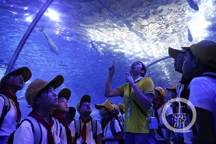 重慶漢海海洋公園游玩攻略，重慶漢海海洋公園游玩指南