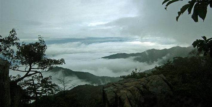 天目山景區門票價格詳解，天目山景區門票價格全面解析