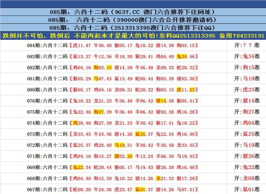 澳門精準四肖八碼官網，探索與解析，澳門精準四肖八碼官網解析與探索指南