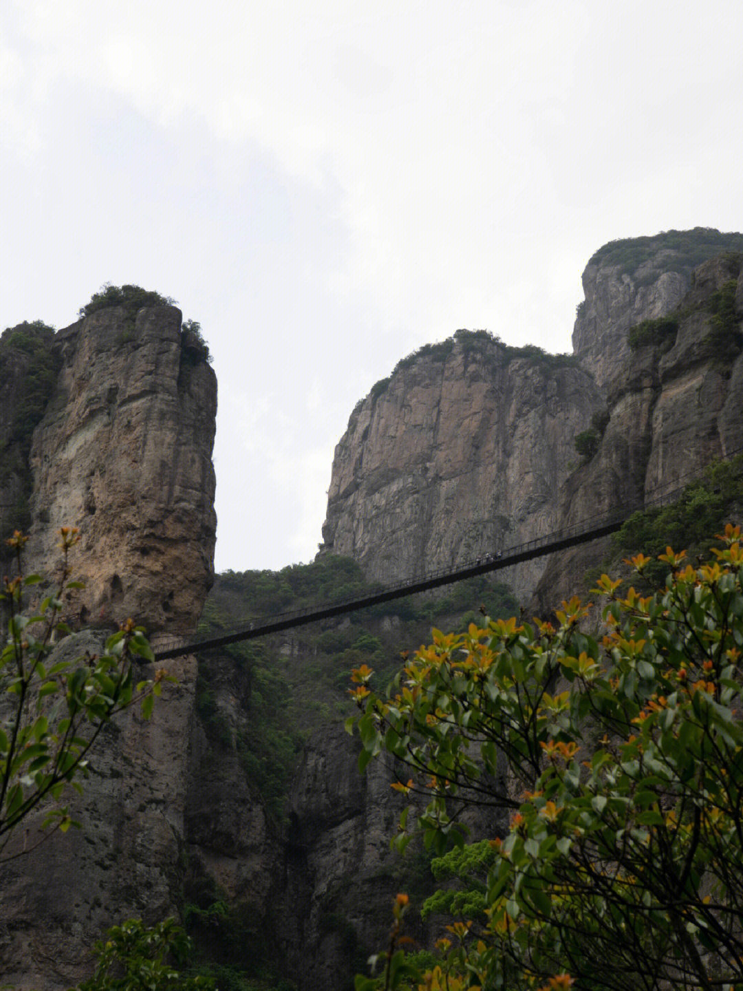 雁蕩山旅游攻略一日游