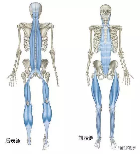 瘦腰腹的瑜伽體式