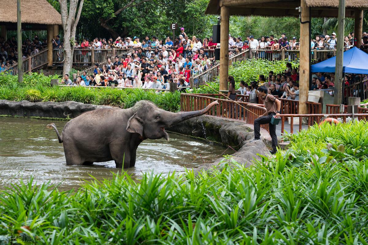 長隆動物園，自然與人類共融的奇妙世界，長隆動物園，自然與人類共融的樂園