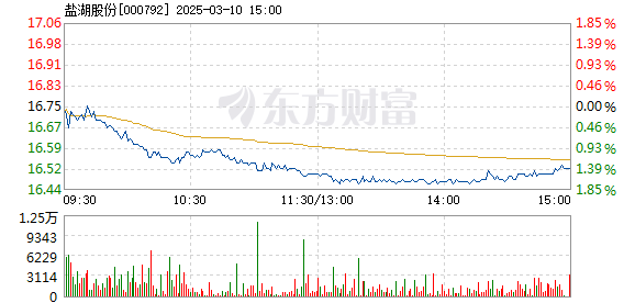 鹽湖股票行情深度解析，鹽湖股票行情全面解析與深度探討