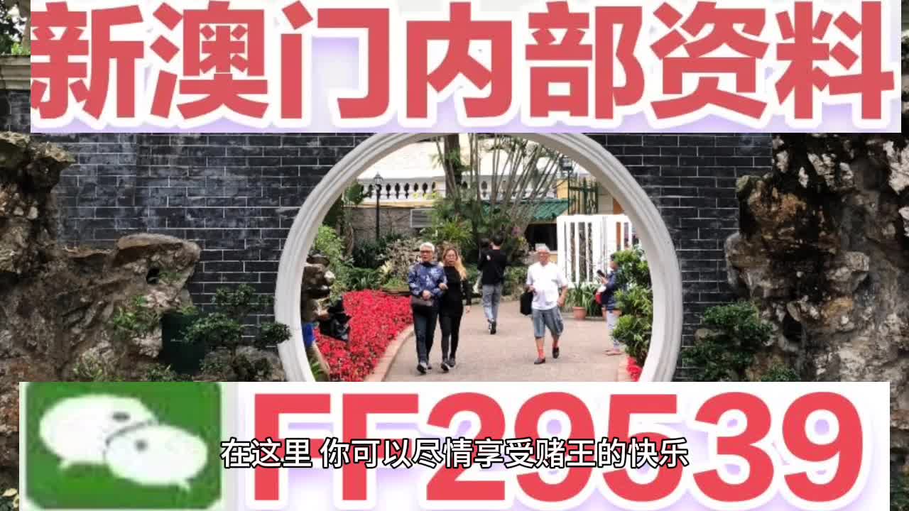 探索澳門未來，2025澳門精準正版澳門碼的魅力與挑戰，澳門未來探索，精準正版澳門碼的魅力與挑戰 2025展望