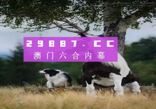 港澳門開獎資料解析