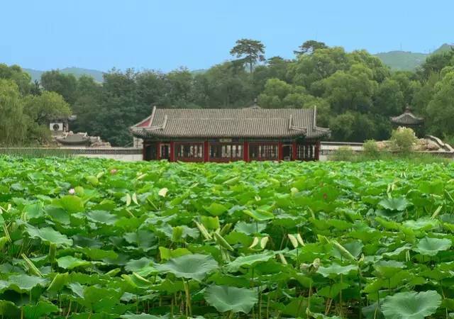 夏季旅游好去處國內