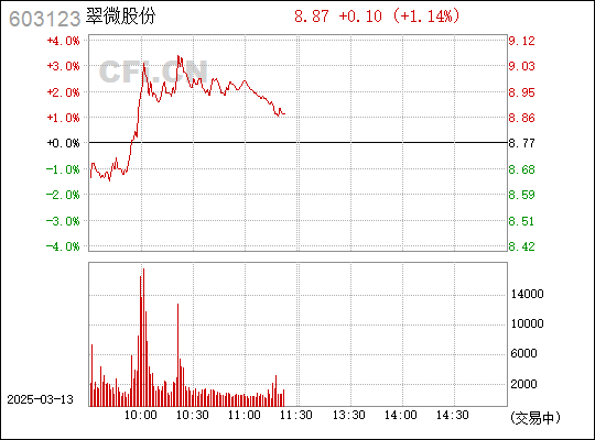 603123翠微股份