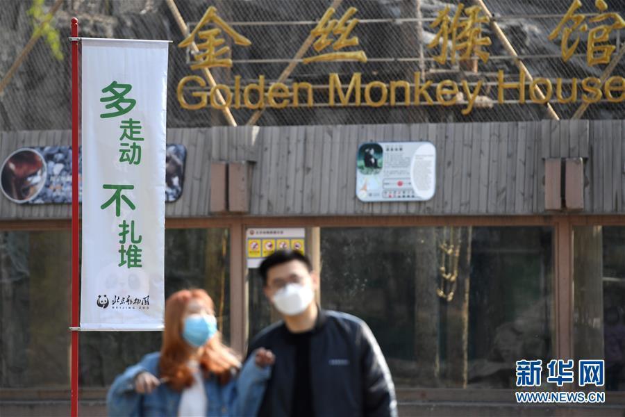 北京動物園開放時間及相關(guān)信息介紹，北京動物園開放時間及游玩指南