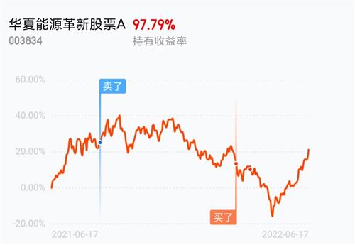 探索600978股吧在東方財富網股吧的投資魅力，東方財富網股吧之探索600978股吧的投資魅力