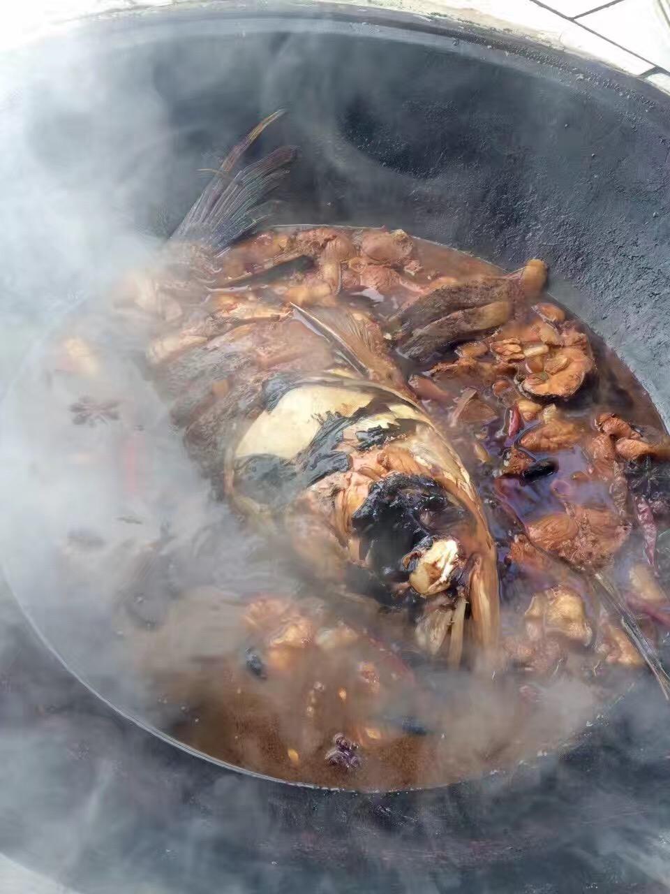 魚頭燉制指南，美味又簡單的烹飪技巧，美味魚頭燉制指南，簡單烹飪技巧呈現佳肴